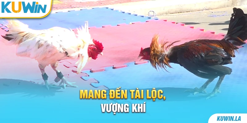 Mang đến tài lộc, vượng khí