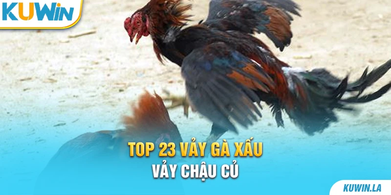 TOP 23 vảy gà xấu – Vảy chậu củ