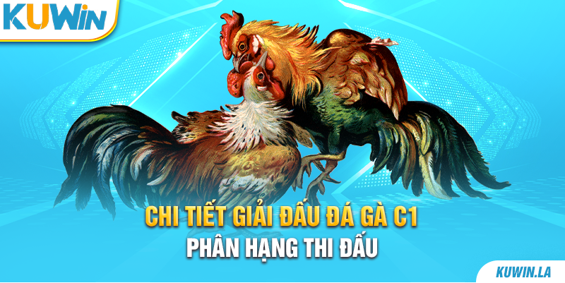 Chi tiết giải đấu đá gà C1 - phân hạng thi đấu