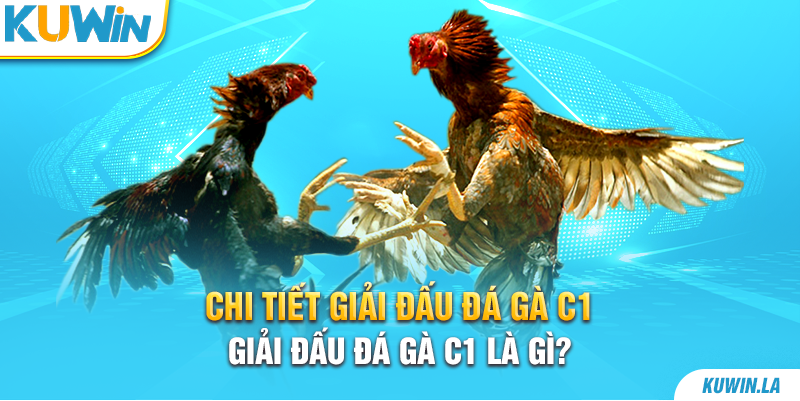 Giải đấu đá gà C1 là gì?