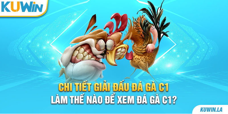 Làm thế nào để xem đá gà C1?